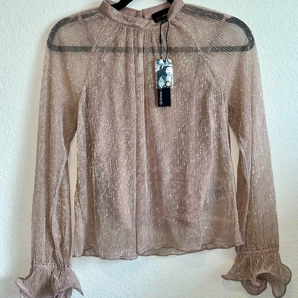 Lucy Paris Long Sleeve Mauve Sheer Top